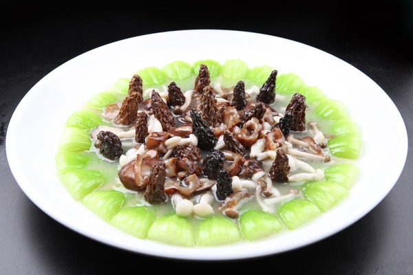 微信图片_20250730161006